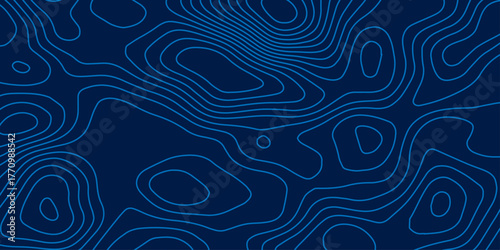 The concept of a conditional geography scheme and the terrain path. Topographic map. Geographic mountain relief. Abstract lines background. Contour maps. Vector illustration.	