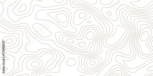 Topographic wave and curve line contour map background. Abstract wavy topographic map and curved lines background. Abstract geographic wave grid line map.	