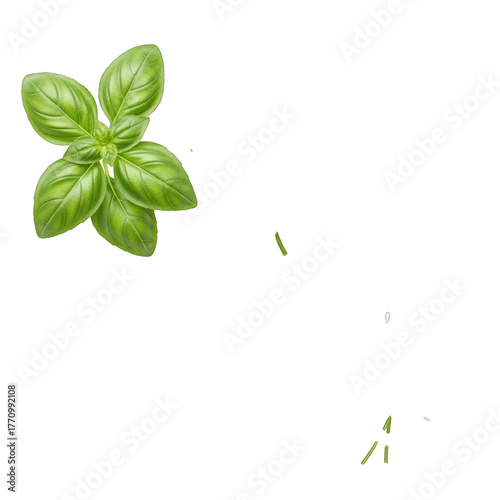 Vibrant Fresh Green Basil Sprig and Scattered Chopped Leaves Isolated for Culinary Use. PNG Transparent Background