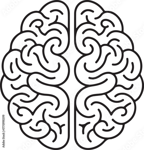 Stylized Human Brain Hemisphere Vector Illustration Anatomy