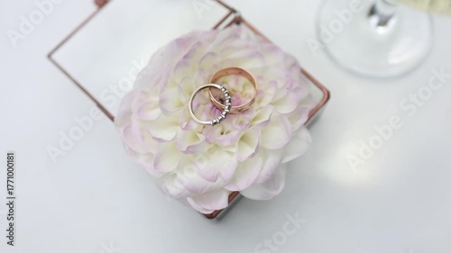 Wedding rings on a box with white decoration
