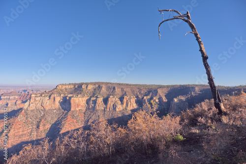 Burnt view from Roosevelt Point at North Rim AZ