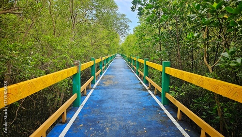 Jogging way, walk way and run way bridge in mangroves forest park.