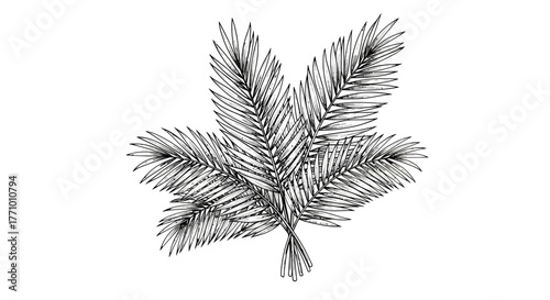 Elegant palm fronds illustration evoking tropical botanical vibes design