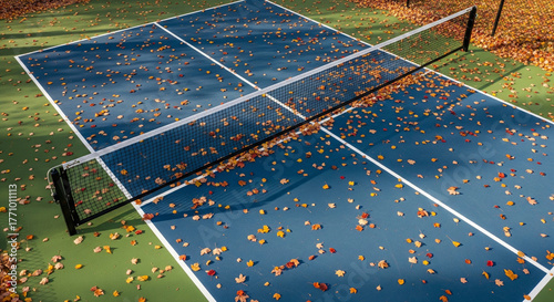 Pickleball court covered in fallen autumn leaves, aerial view