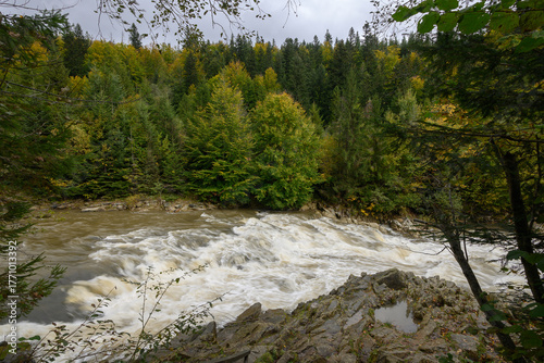 Mizunski waterfalls in the Carpathian Mountains, Ivano-Frankivsk region, Ukraine. Stormy rapids on the Mizunka River. Autumn landscape: mountain river and forest.