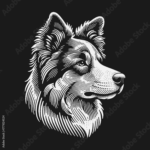 Intricate Dog Portrait: A Detailed Engraving Style Illustration.
