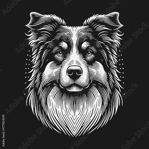 Intricate Border Collie Portrait in Detailed Engraving Style.