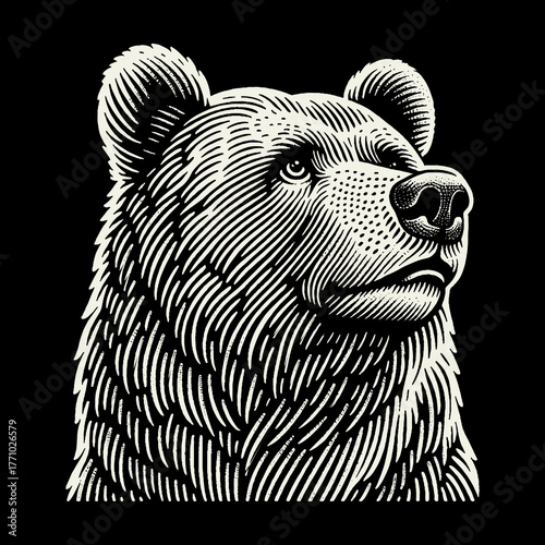 Intricate Engraving of a Grizzly Bears Majestic Portrait.