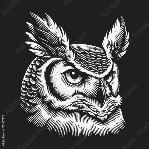 Intense Owl Portrait: Detailed Engraving on Black Background.