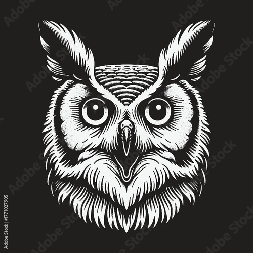 Intricate Owl Portrait on Black Background.