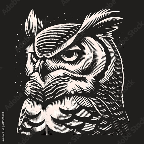 Intense Owl Portrait: Detailed Black and White Illustration.