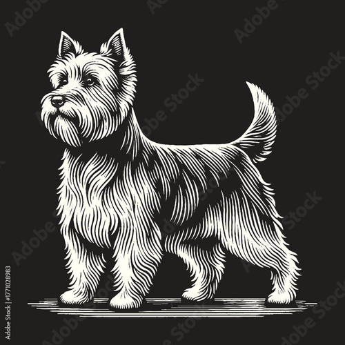 Elegant Terrier Portrait: A Detailed Black and White Illustration.