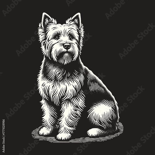 Adorable Terrier Dog Portrait in Detailed Black and White.