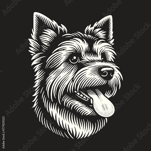 Yorkshire Terrier Portrait: Detailed Engraving on Black Background.
