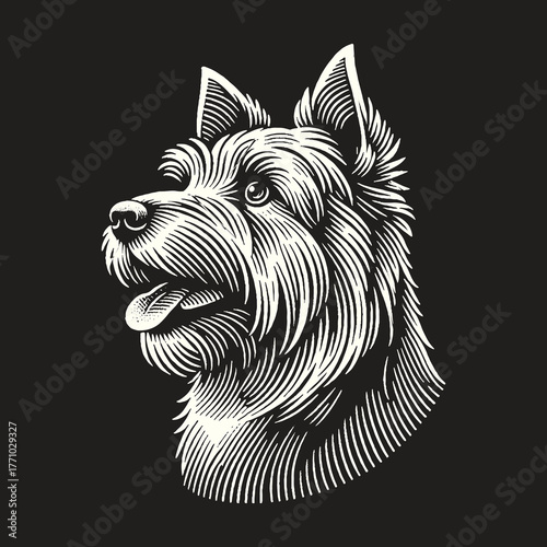 Detailed Engraving of a Cairn Terriers Head on Black Background.
