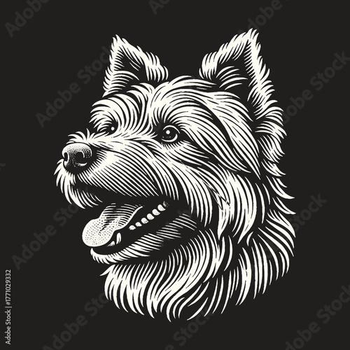 Detailed Engraving of a West Highland White Terrier Dog.