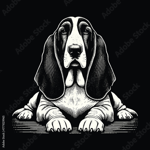 Basset Hound Portrait: Majestic Dog in Black and White.