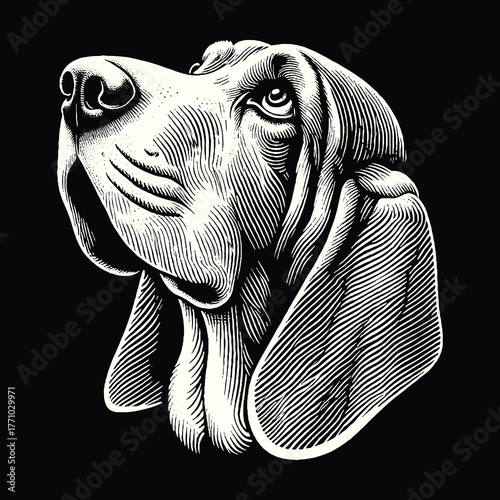Elegant Basset Hound Portrait in Detailed Engraving Style.