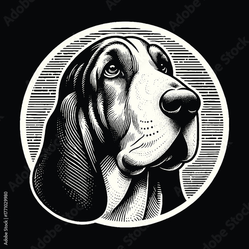 Basset Hound Portrait in Circular Frame: Elegant Black and White.