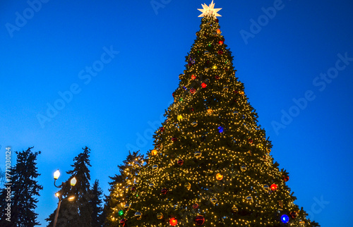 Very tall Christmas tree adorned with bright golden lights and colorful ornaments is photographed at dusk. A glowing star sits at the top against a deep blue sky