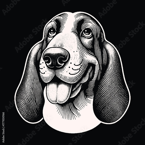 Basset Hound Portrait: Detailed Black and White Illustration.