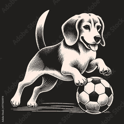 Beagle Dog Playing Soccer Ball Black and White Illustration.