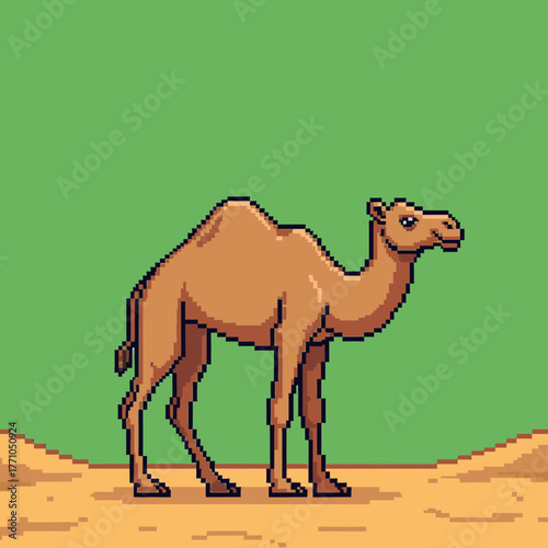A pixel art illustration of a dromedary camel standing on sand with a solid green background.