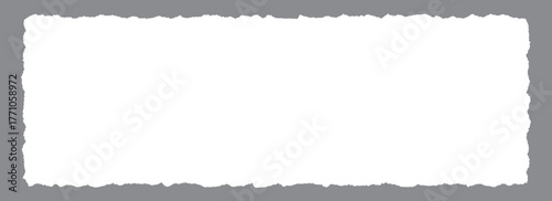 Wide paper frame with jagged edges. White blank torn paper sheet wallpaper. Ripped grunge page template background for text box, banner, collage, sticker, poster. Vector rectangle craft backdrop