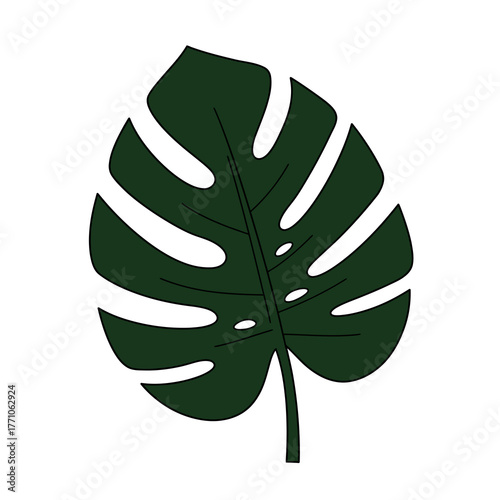 Minimalist flat vector illustration of a dark green tropical Monstera leaf. Simple botanical plant icon isolated on a white background for design