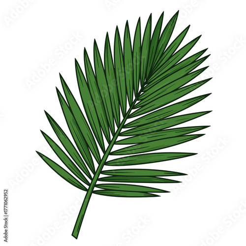 A vibrant green palmetto leaf illustration with a bold black stroke. This is a flat vector line art design isolated on a white background
