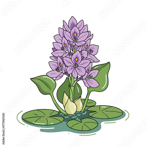 Isolated illustration of a blooming water hyacinth. A beautiful aquatic plant with purple flowers and lush green lily pads shown in a clean vector line art style