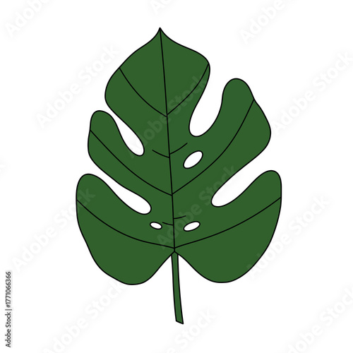 A simple vector illustration of a green Monstera deliciosa leaf, also known as a Swiss Cheese Plant, isolated on a white background