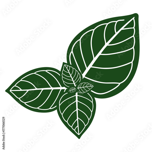Vector illustration of a fresh green mint leaf cluster with detailed white veins. A clean and simple plant icon isolated on a white background for herbal concepts