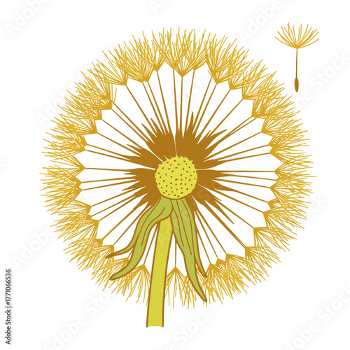 A stylized vector illustration of a dandelion puffball with a single seed gently detaching and floating away on a white background