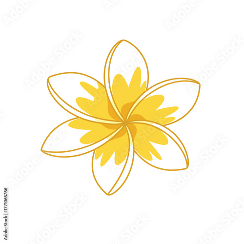 Vector illustration of a tropical frangipani flower. Simple plumeria graphic with yellow and white petals isolated on a clean background