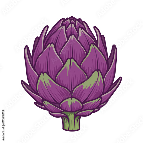 A detailed vector illustration of a single purple artichoke, depicted in a stylized, vintage art style and isolated on a white background