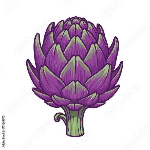 A detailed vector illustration of a fresh purple artichoke flower bud, isolated on a white background. Clean, stylized botanical art for healthy food concepts