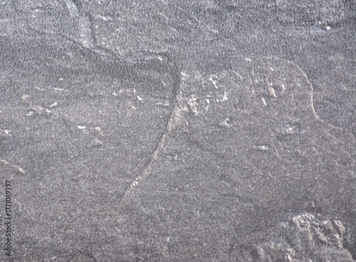 Dark gray plaster, rough-finished surface with light-colored inclusions, seamless close-up.