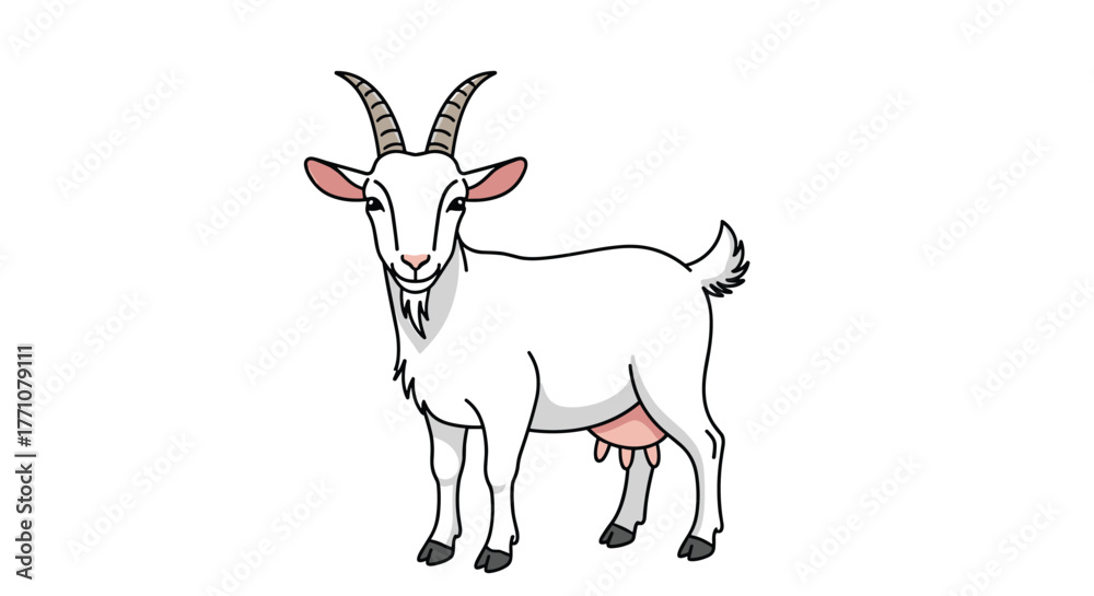 Fototapeta premium A white cartoon goat with horns and udders stands facing forward on a white background.