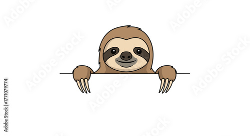 Cute cartoon sloth peeking over a blank white space with its paws on a line.