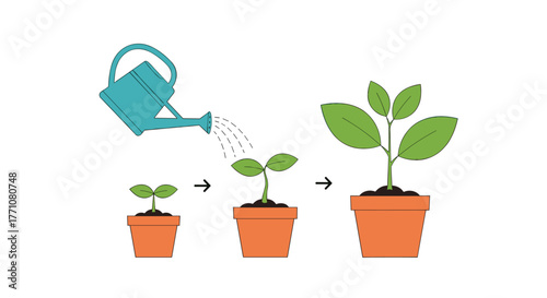 Illustration showing the growth of a seedling in a pot with a watering can overhead.