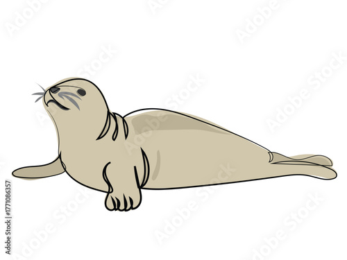 Seals in continuous line drawing