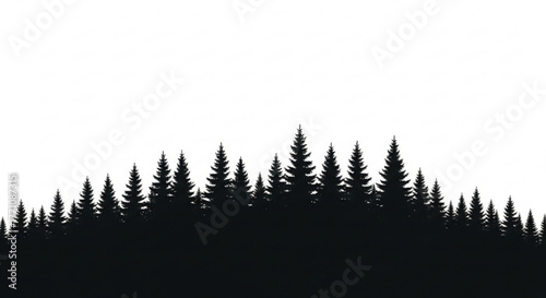 Silhouette of a dense forest with various sized evergreen trees against a white background in a landscape view