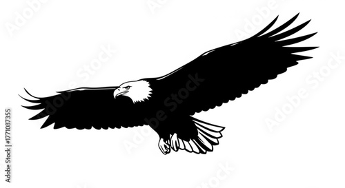 A majestic bald eagle soars through the sky with its wings spread wide in monochrome illustration