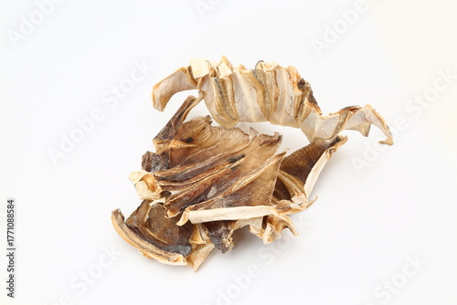 Dried stingray from the Dasyatidae family on white background