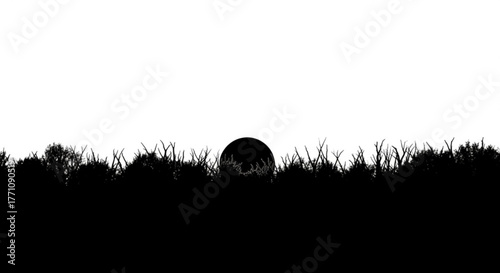 Silhouette of vegetation with a dark circular shape against a white background at dusk or dawn time