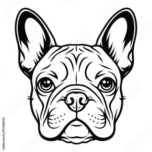 Cute french bulldog face illustration with intricate patterns