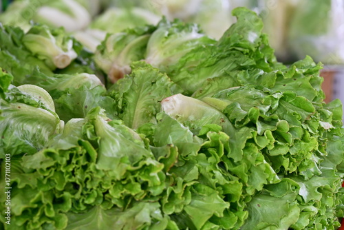 Stacked light green romaine lettuce with wavy leaf edges, glossy moist texture and clear veins, varied shades, blurred background, fresh produce at market, Taiwan.