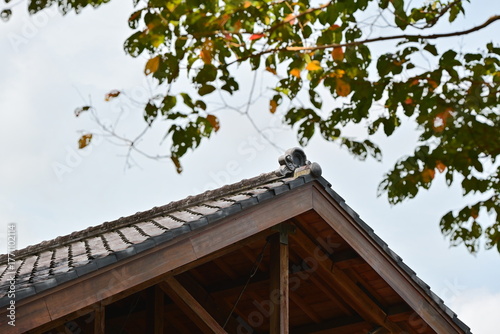 Authentic architectural detail of traditional dark roof tiles with wooden eaves and decorative ridge ornament, framed by autumn tree branches showing green, yellow and brown leaves against bright sky.